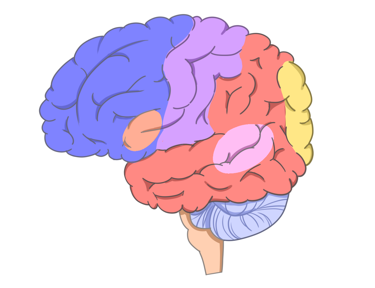 Neural Ascension 3.0