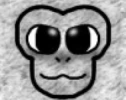 MOONKI