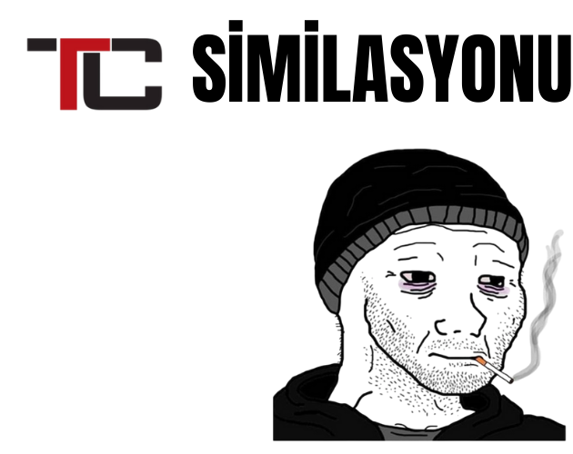 TÜRKİYE SİMİLASYONU
