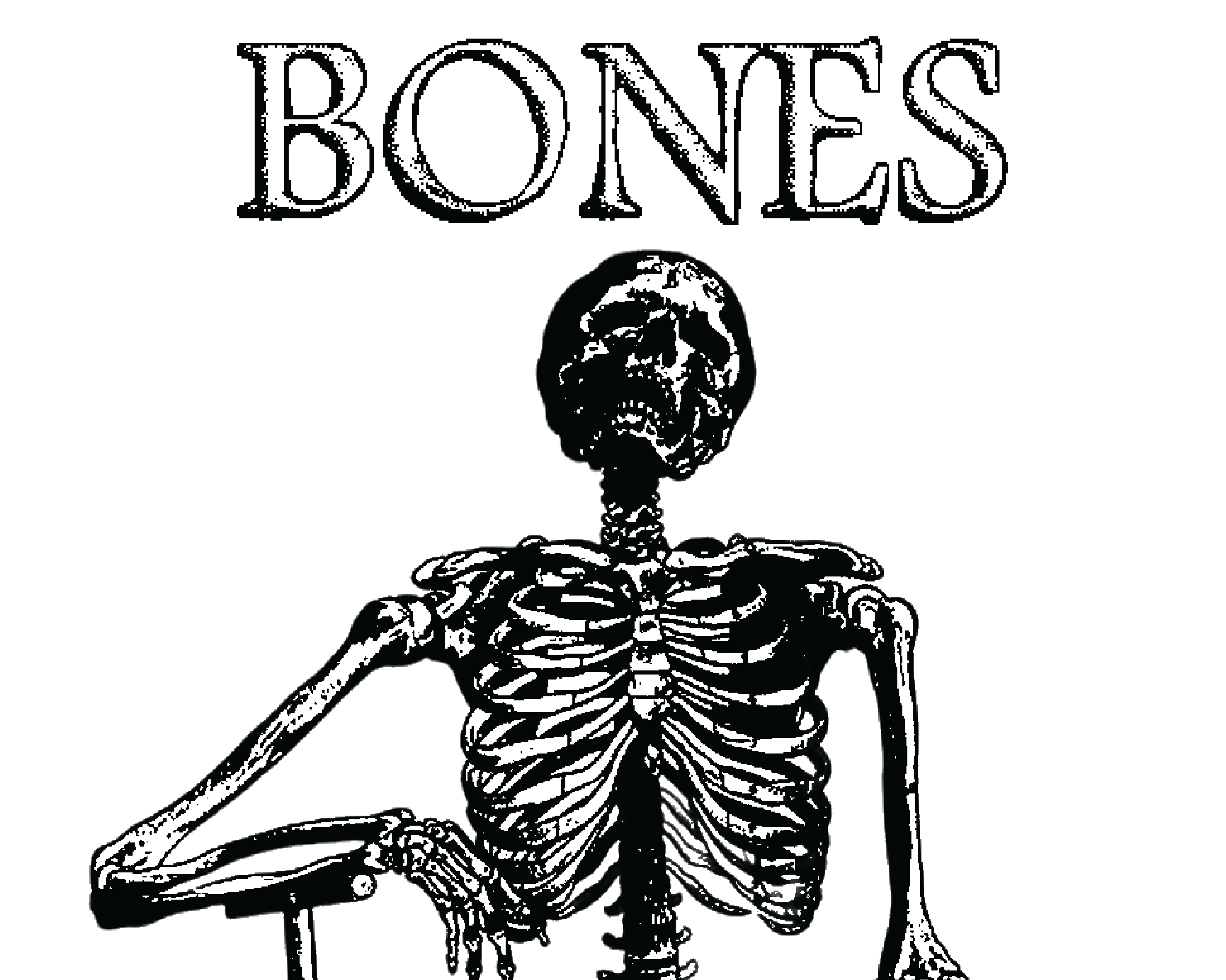 Cover image for Bones