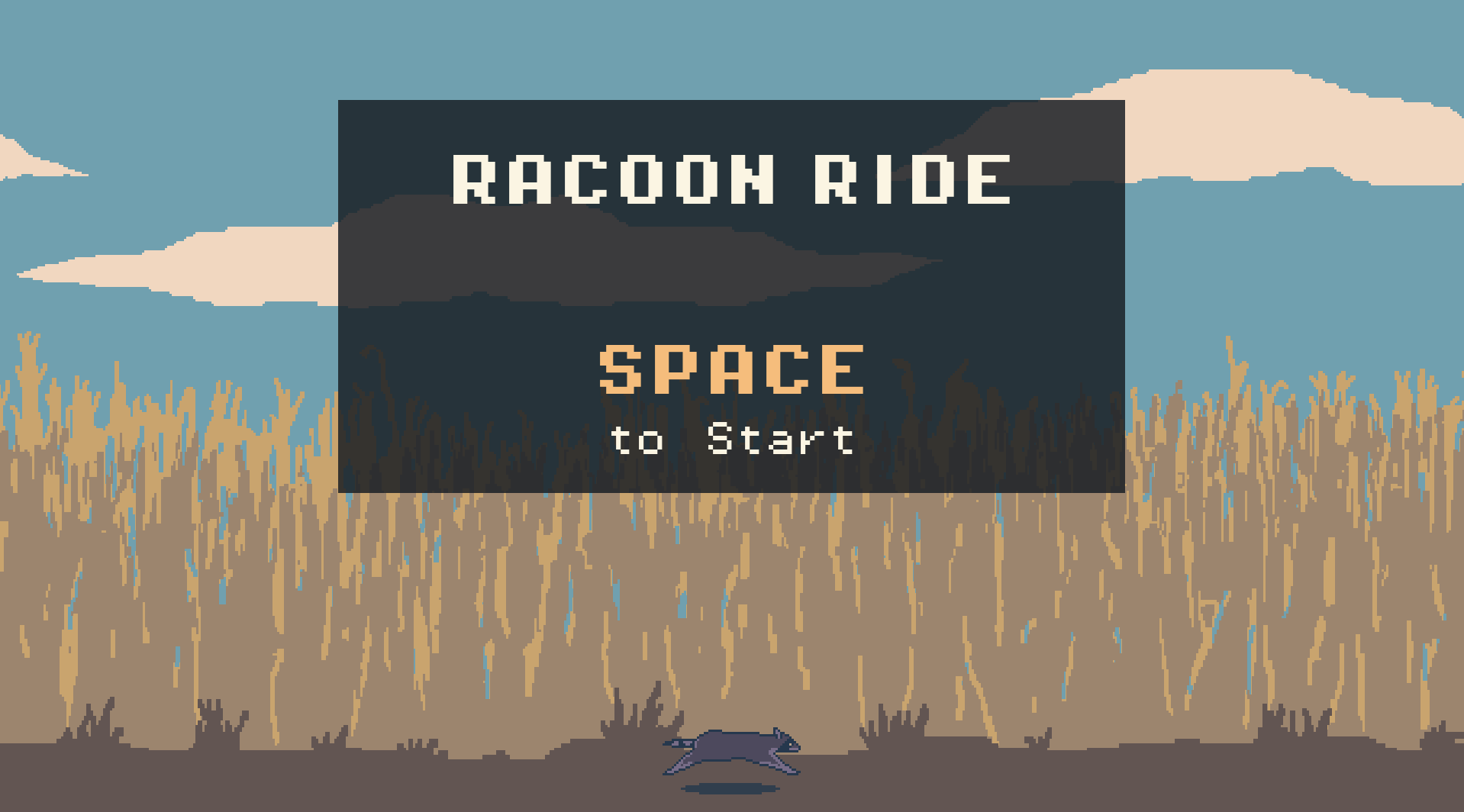 Cover image for Racoon Ride