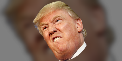 Cover image for Fake News Game