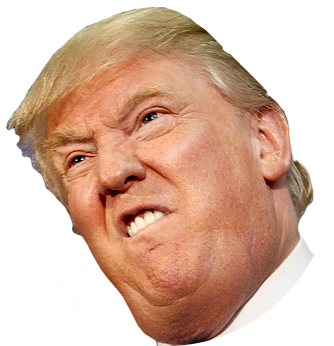 Cover image for Fake News Game