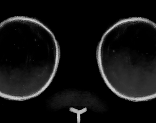 Gato Project