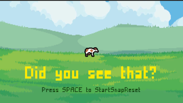 Cover image for DID YOU SEE THAT?