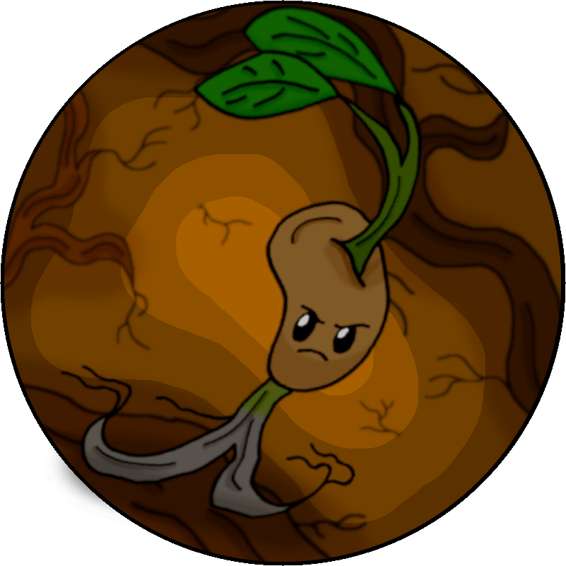 Into the Root