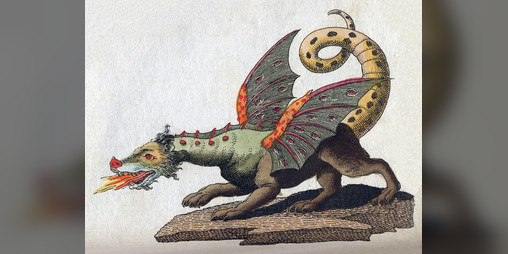 Cover image for Reimagine the Dragon