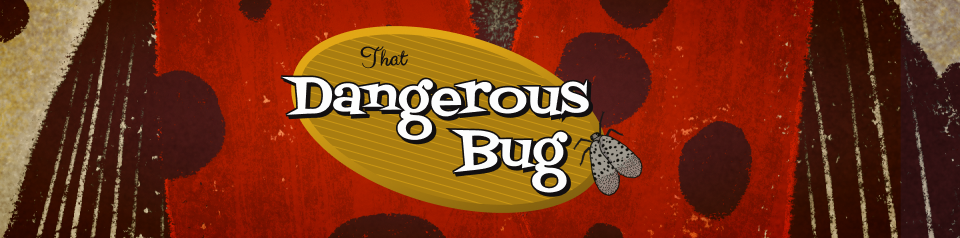That Dangerous Bug