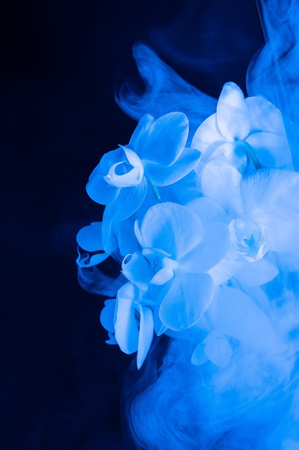 Cover image for abstract bouquet