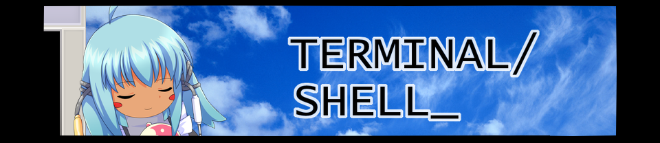 TERMINAL/SHELL_