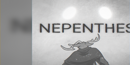 Cover image for Nepenthes