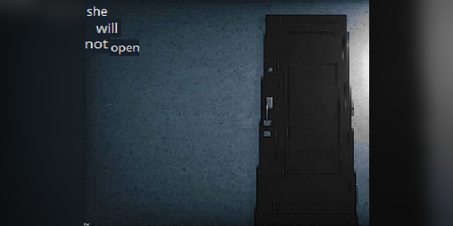 Cover image for She Will Not Open