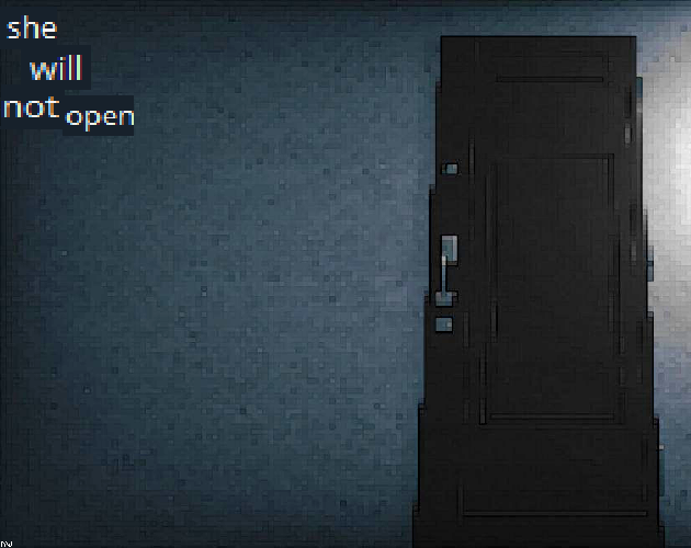 Cover image for She Will Not Open