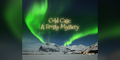Cover image for Cold Case: A Frosty Mystery