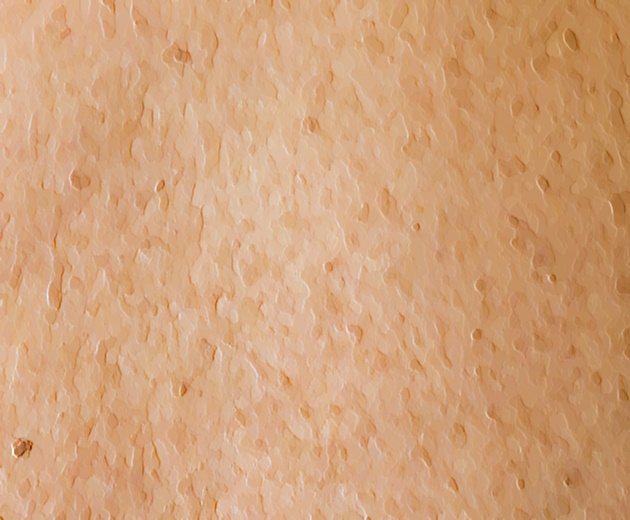 Cover image for Ingredient #4