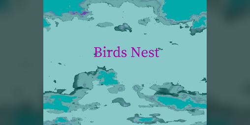 Cover image for Birds Nest