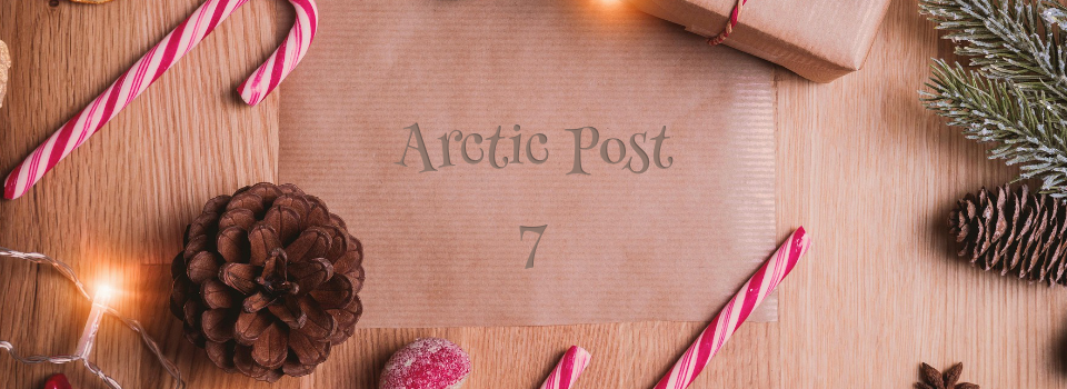 Arctic Post 7