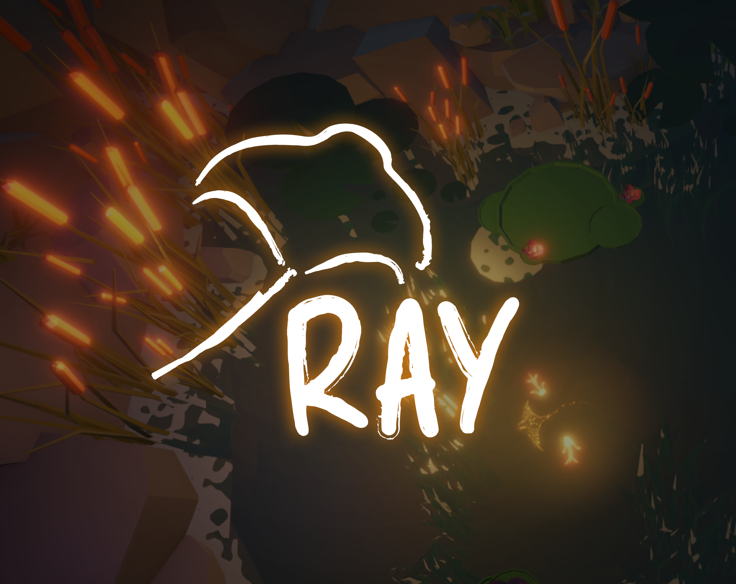 Cover image for Ray