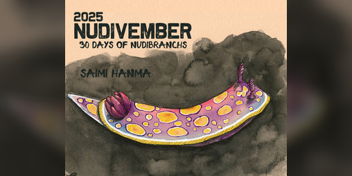 Cover image for Zine: Nudivember 2025: 30 Days of Nudibranchs