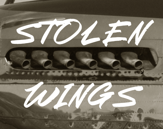 Cover image for Stolen Wings