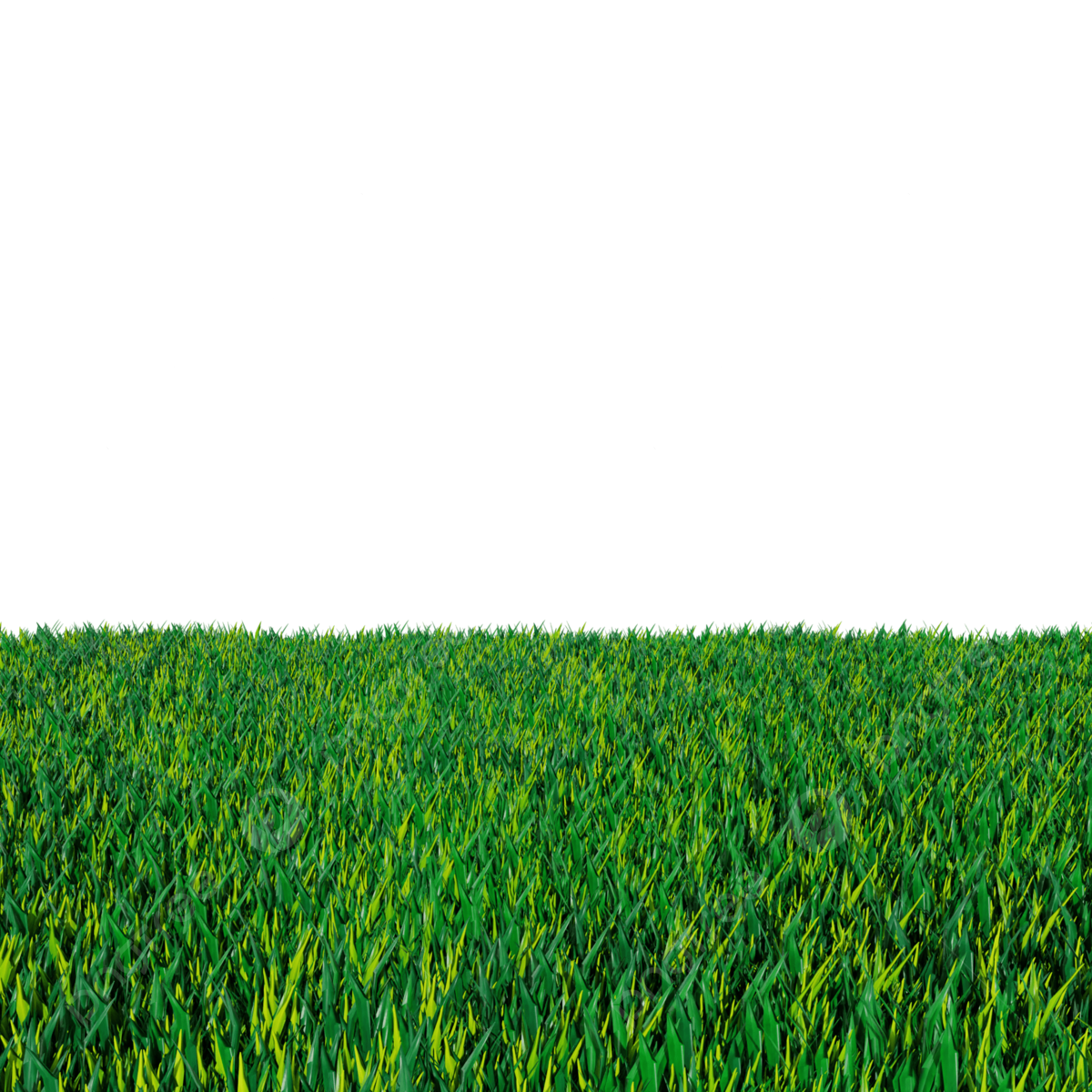 Baldi Basis Educations