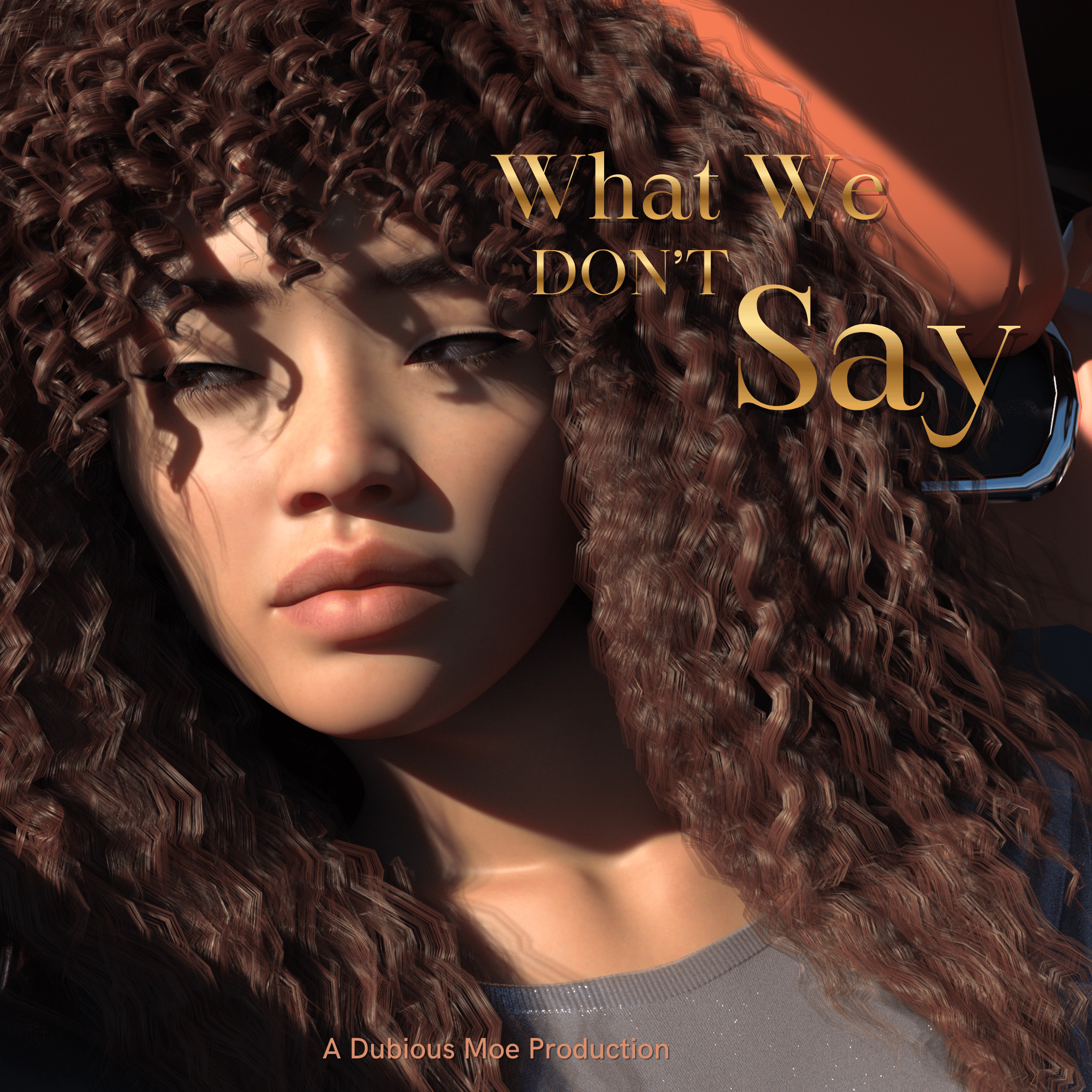 Cover image for What We Don’t Say