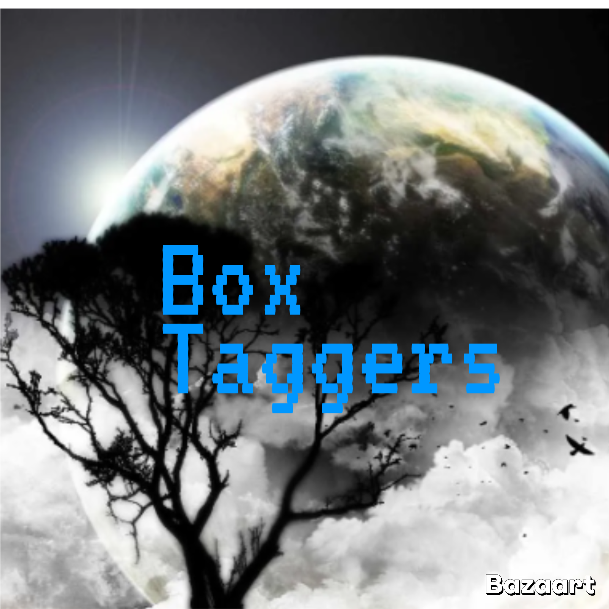 Cover image for Box Taggers