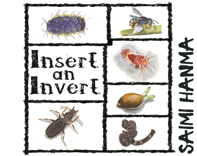 Cover image for Zine: Insert an Invert