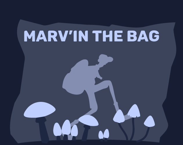 Cover image for Marv'In The Bag