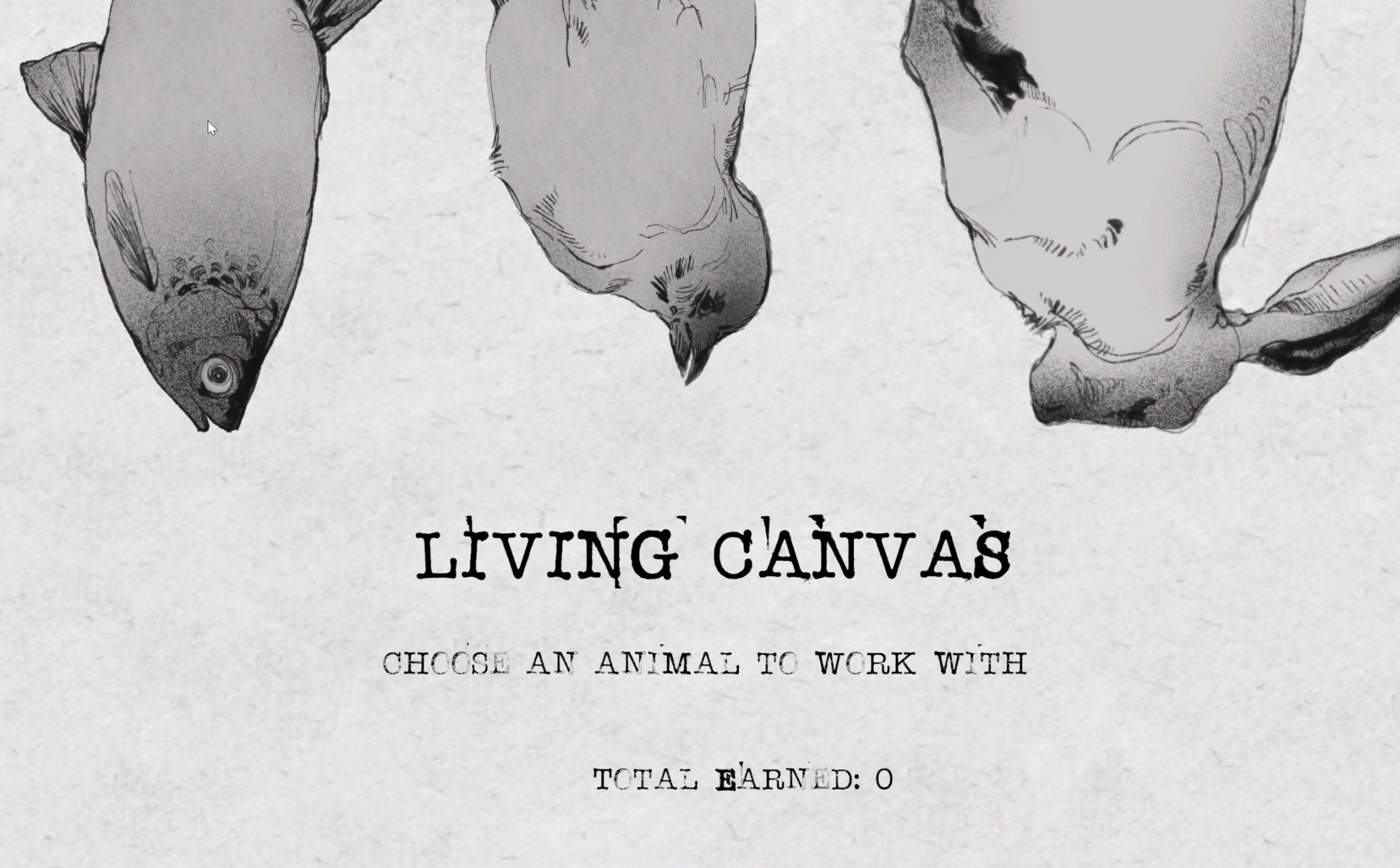 Living Canvas