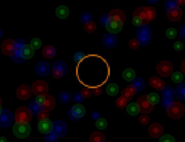 Black Hole Sandbox Prototype