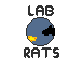 Cover image for Lab Rats