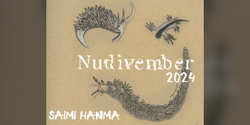 Cover image for Zine: Nudivember 2024