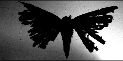 Cover image for Imaginal Girls Episode 45.9: The Vampire Moth Attacks