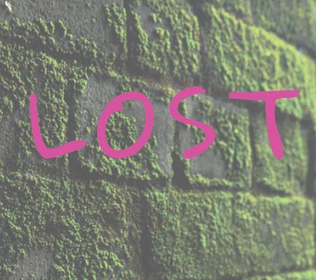 Cover image for Lost