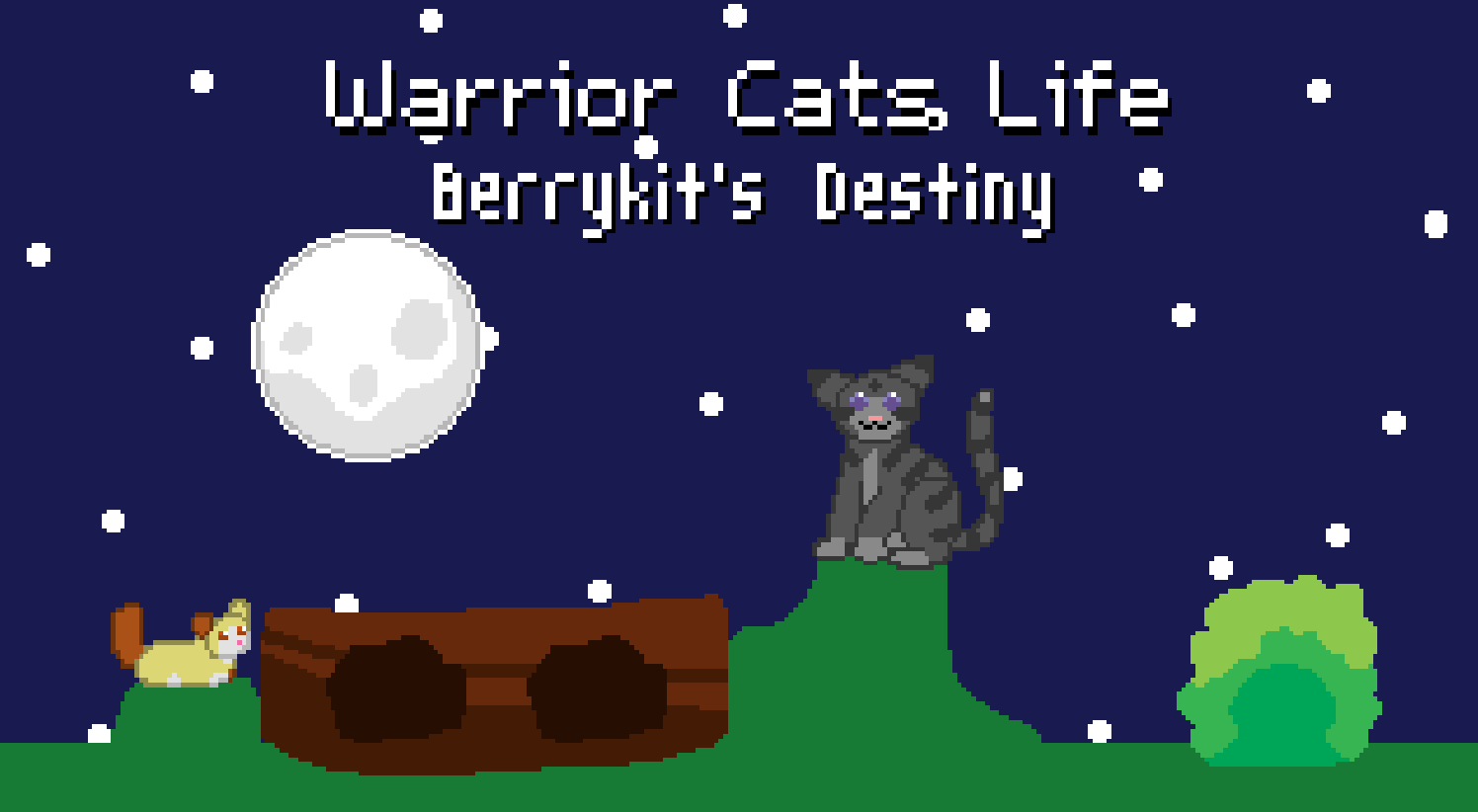 Cover image for Warrior Cats Life