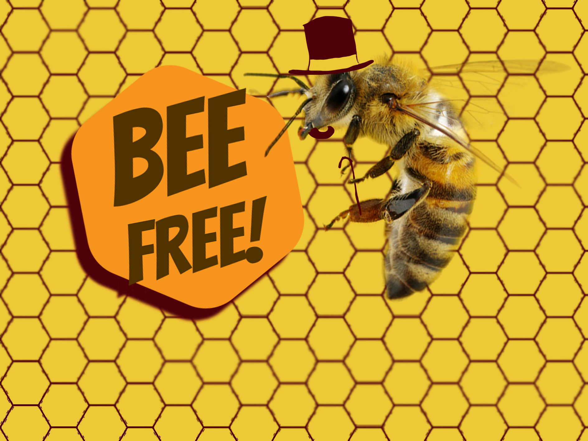 Cover image for Bee Free!