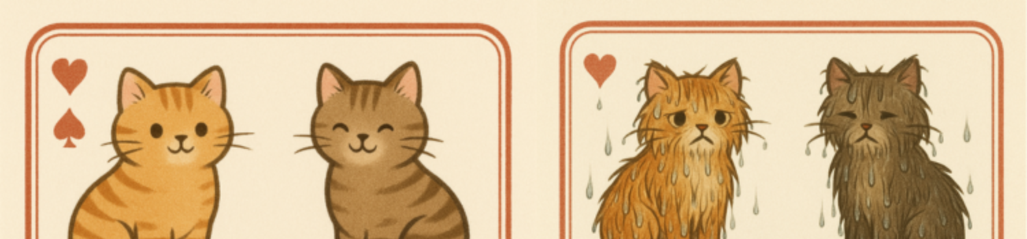 A Cat is a Cat is a Cat is a Cat