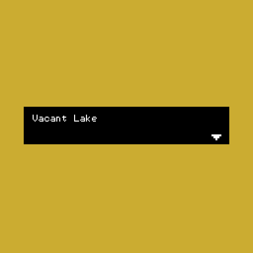 Cover image for Vacant Lake