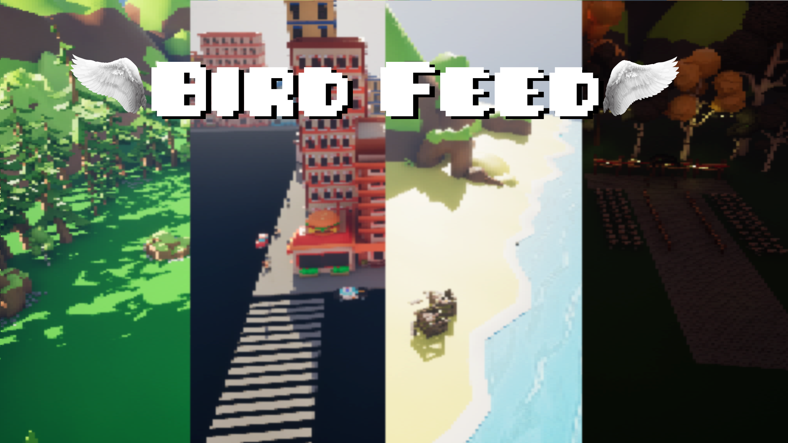 Bird Feed