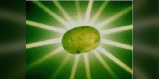 Cover image for Potato sim DEMO