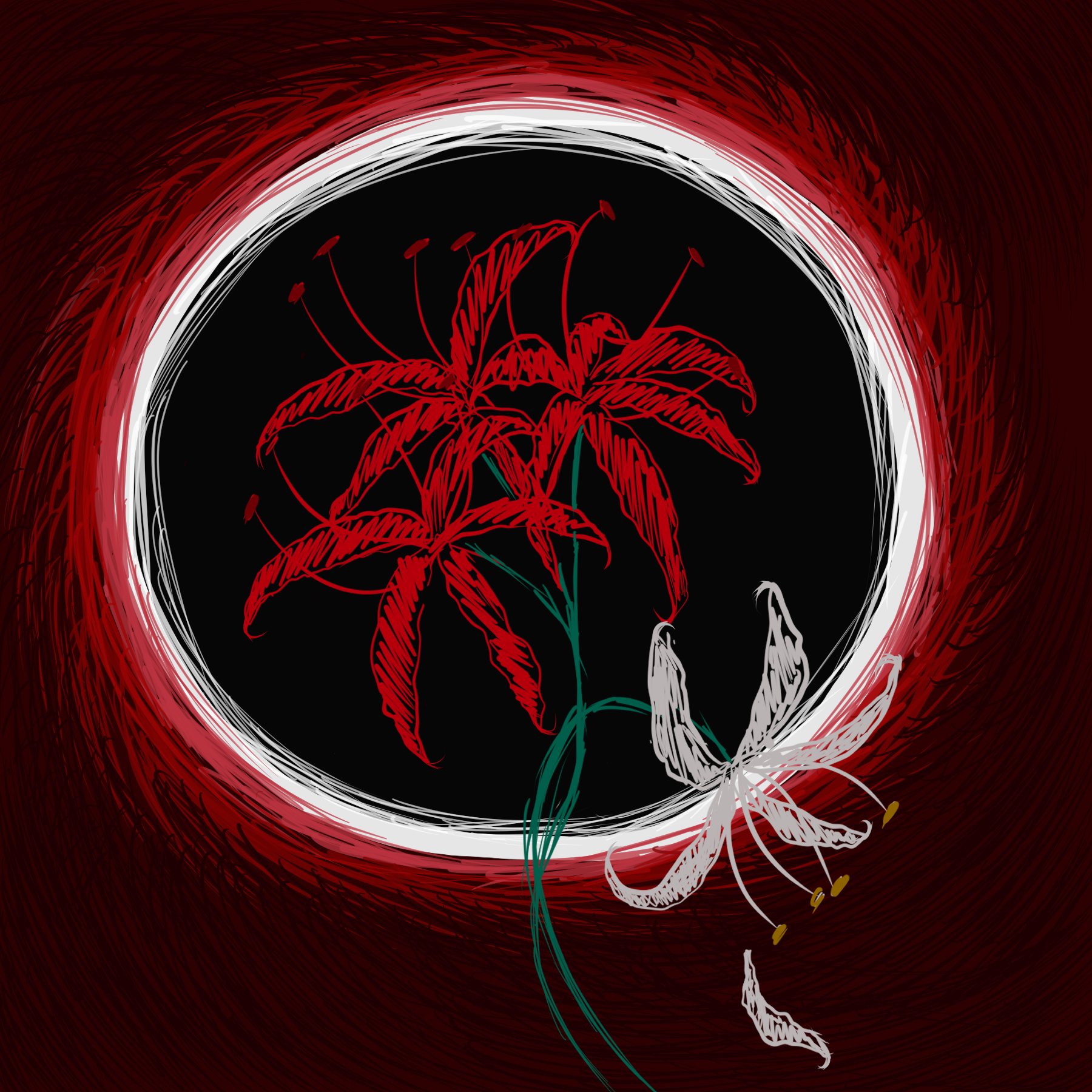 Lírio cover
