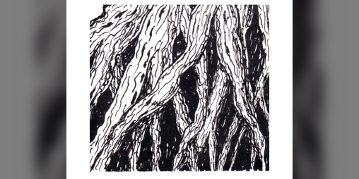 Cover image for Something ODD about this Tree