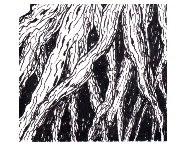 Cover image for Something ODD about this Tree