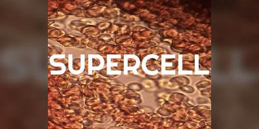 Cover image for SUPERCELL