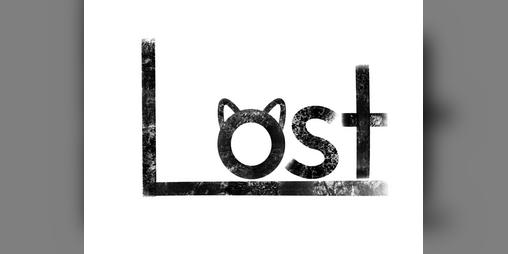 Cover image for Lost