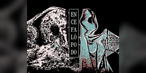 Cover image for Encefalópodo