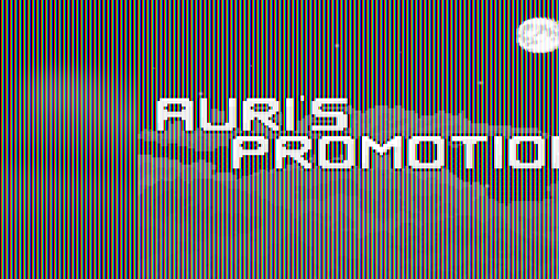 Cover image for Auri's Promotion