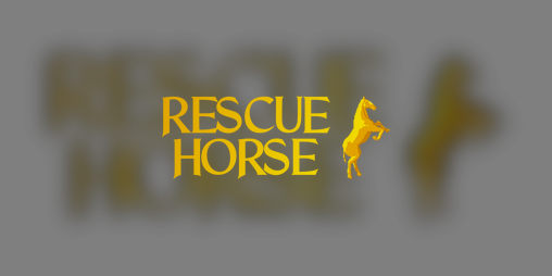 Cover image for Rescue Horse