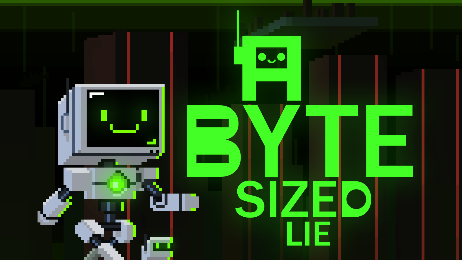 A Byte Sized Lie